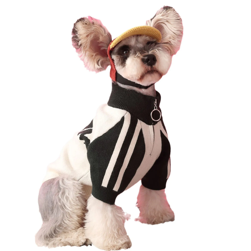 Red wool sports cardigan for puppy dog on size mannequin showing casual knit style