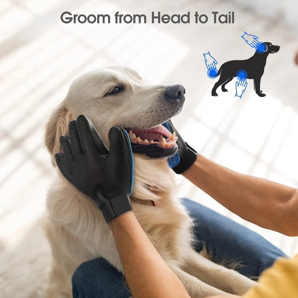 Blue pet grooming gloves with silicone tips for gentle shedding removal on dogs and cats