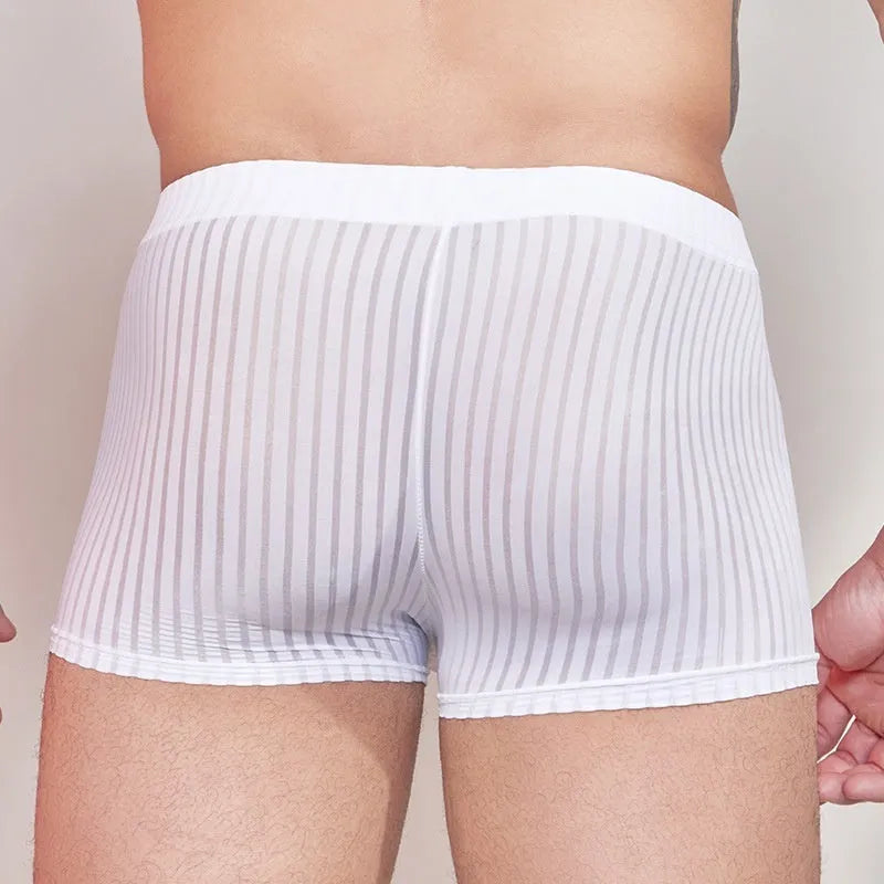 Men's striped nylon underwear in thin transparent fabric showing black, white, and dark grey colour options
