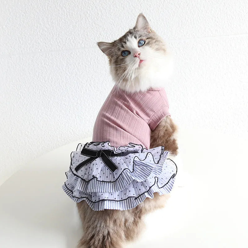 Polka dot lace cake dress pet clothing in princess style with three colour options