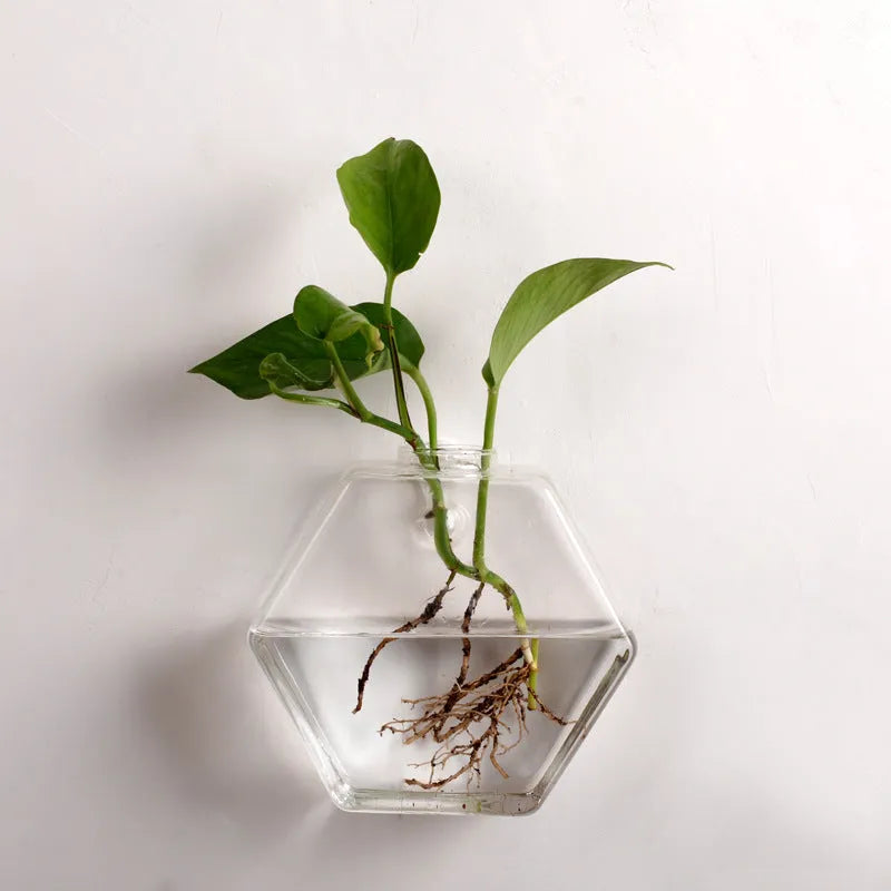 Wall-mounted geometric fish tank in high borosilicate glass, polished finish, 13x13cm and 17x17cm sizes