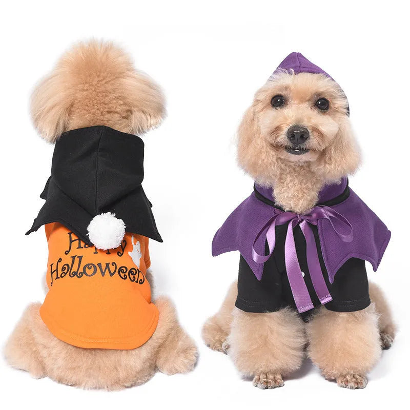 Black and orange two-piece Halloween dog costume with sweater and shawl
