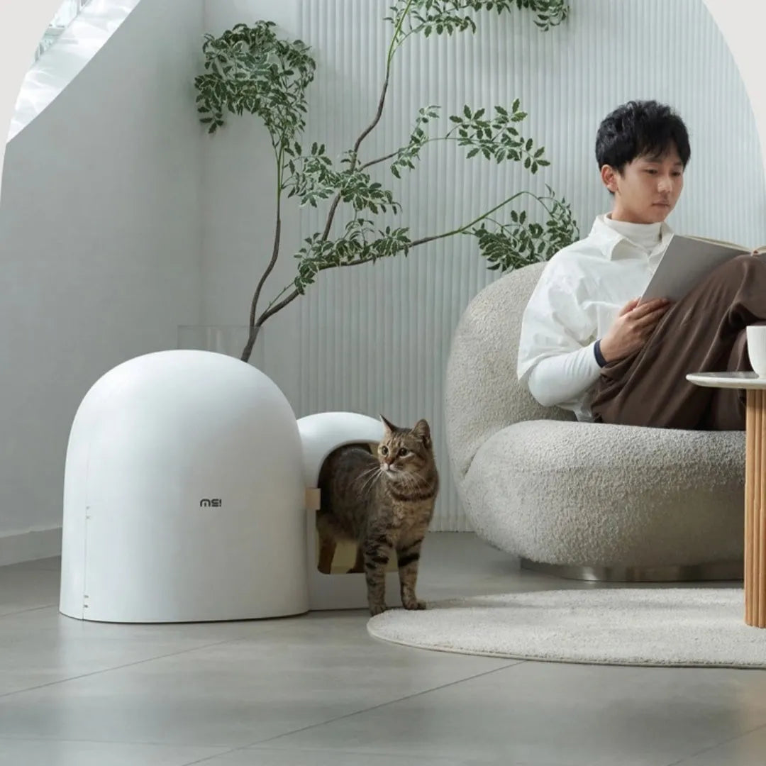 Fully enclosed oversized cat litter box in ABS plastic measuring 67.7cm long with three colour options