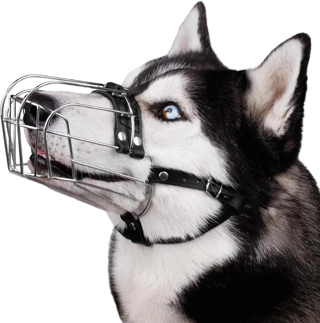 Metal dog mouth cover designed specifically for golden retrievers and German shepherds