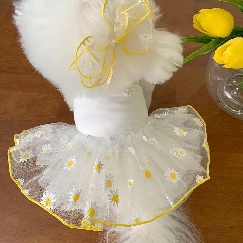Yellow little daisy pattern dog clothes on canine model with summer thin polyester fabric