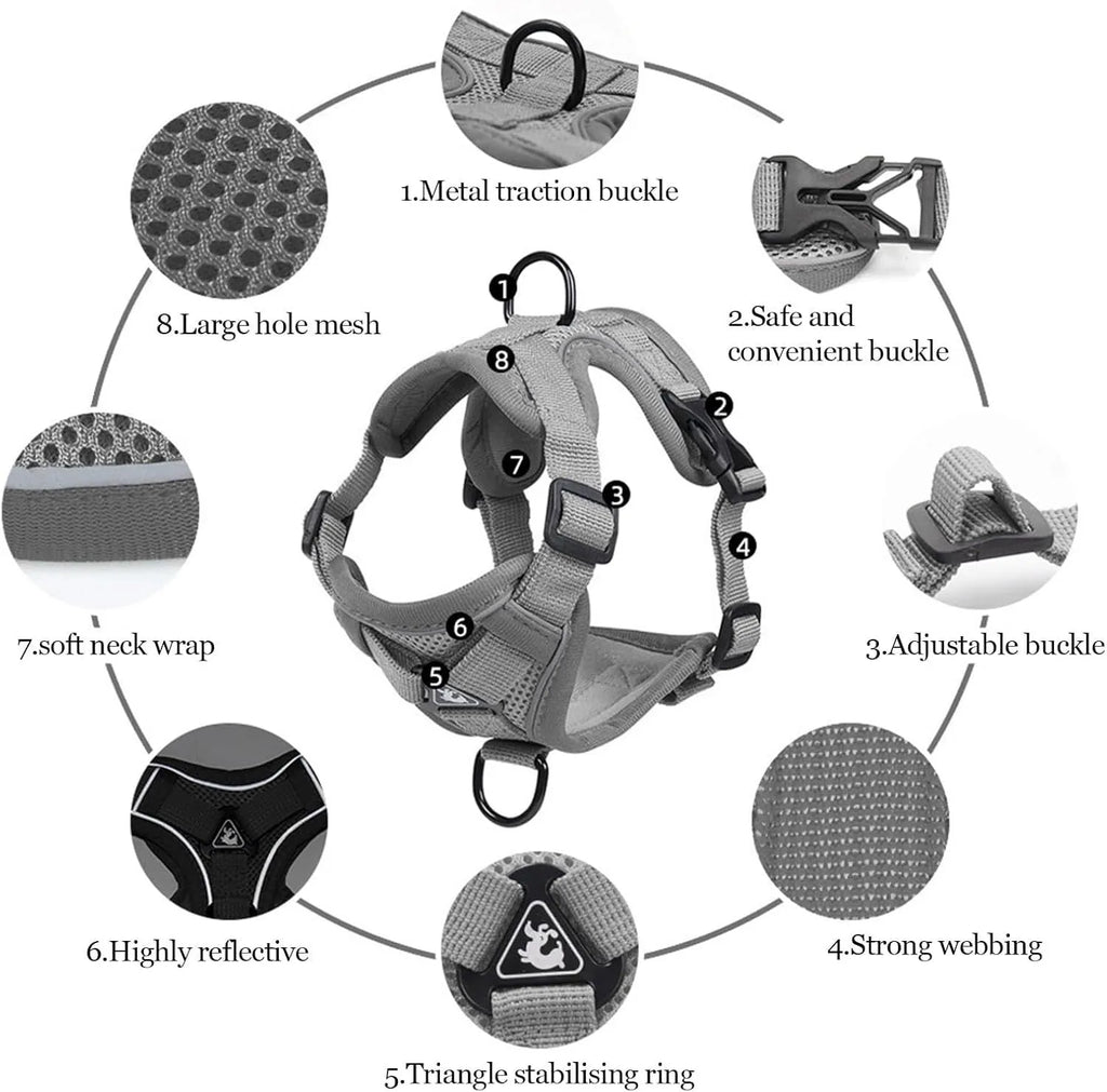 Adjustable mesh cat harness with leash showing reflective strips and secure snap fastenings