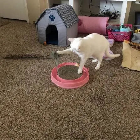 Blue cat scratcher with circular base, corrugated cardboard pad, and ball in track for interactive play