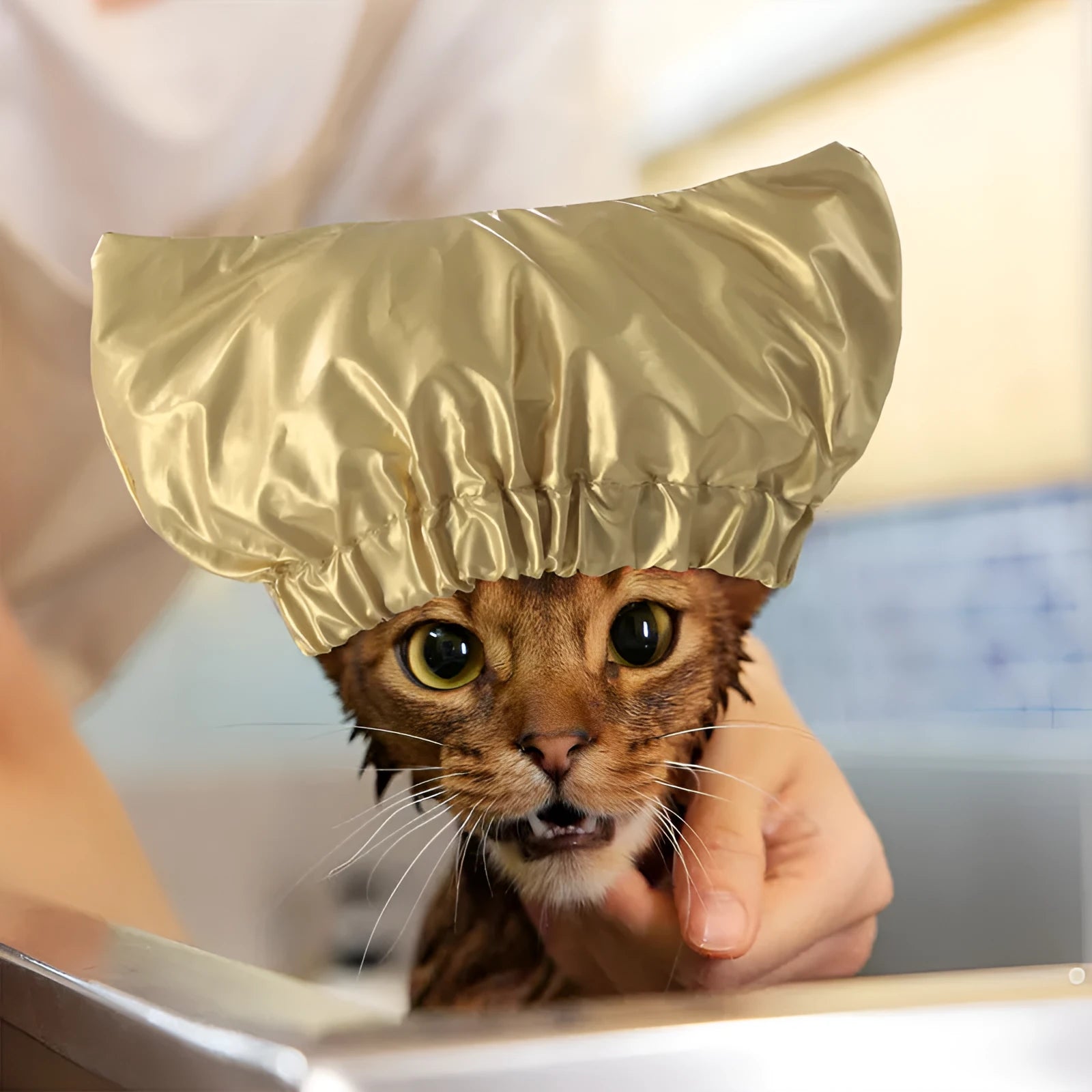 Adjustable waterproof shower cap for pets in gold colour showing 18-22cm size range