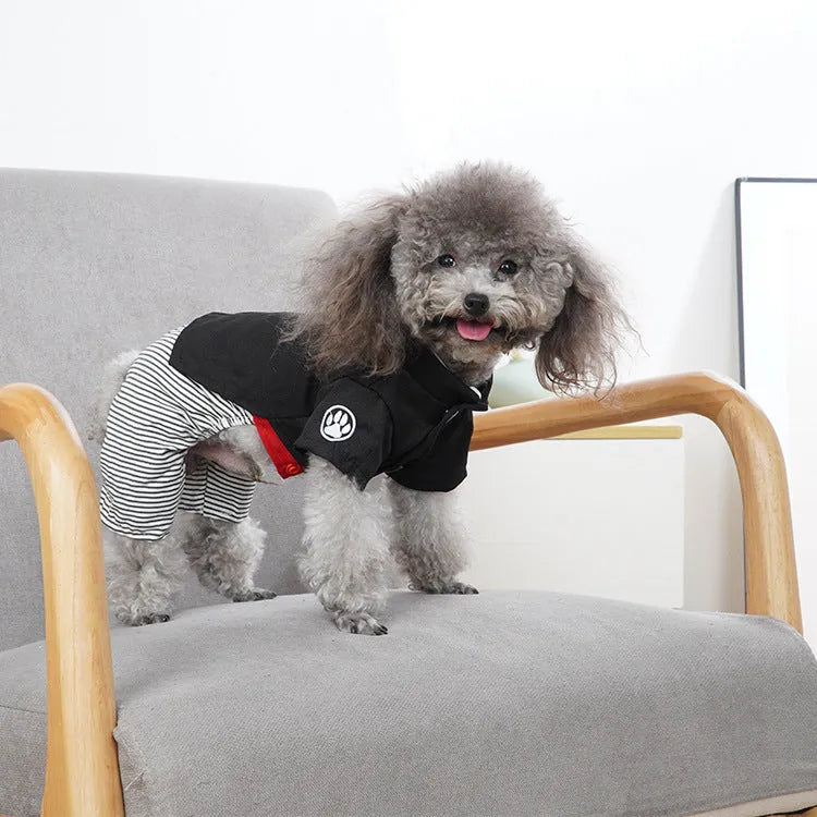 Cotton dog clothing for poodles shown in four-foot pants and skirt styles for spring, summer, and autumn wear.