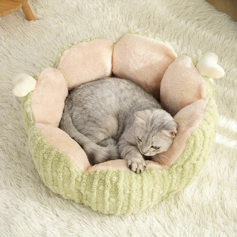 Soft cactus design cat litter kennel in purple and green colours showing large and small size options