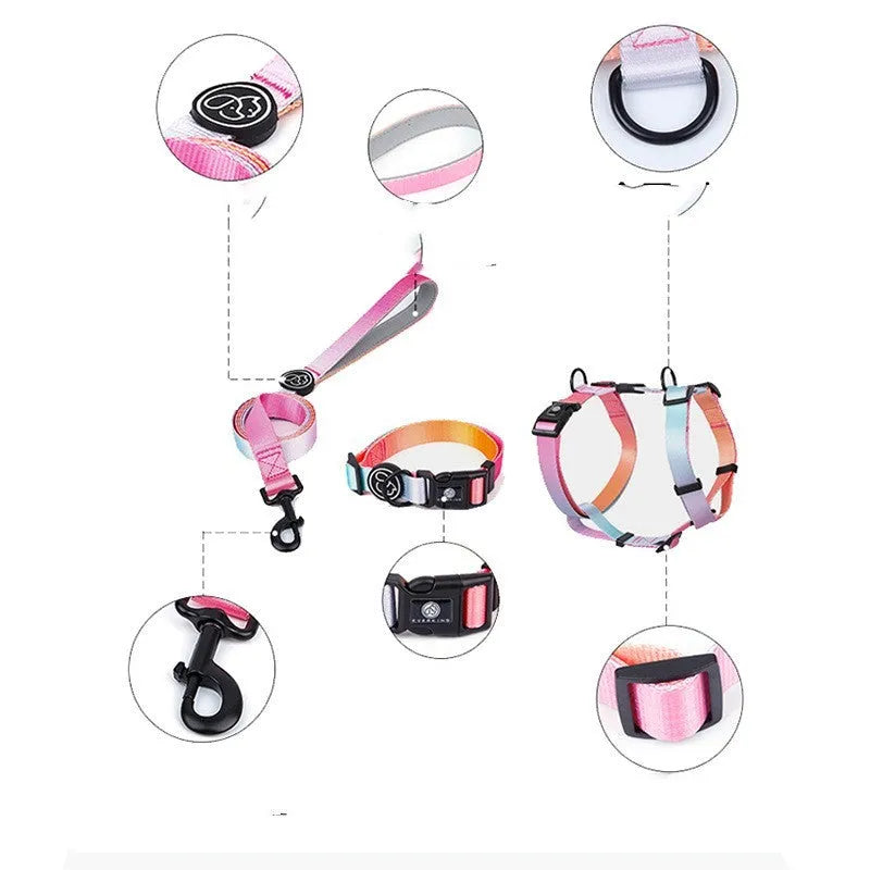 Gradient colour polyester dog chest strap harness in four colourful designs