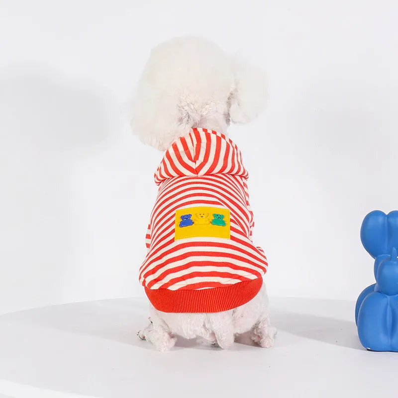 Orange cotton hooded sweater for a dog on a mannequin, showing Japanese South Korean style.