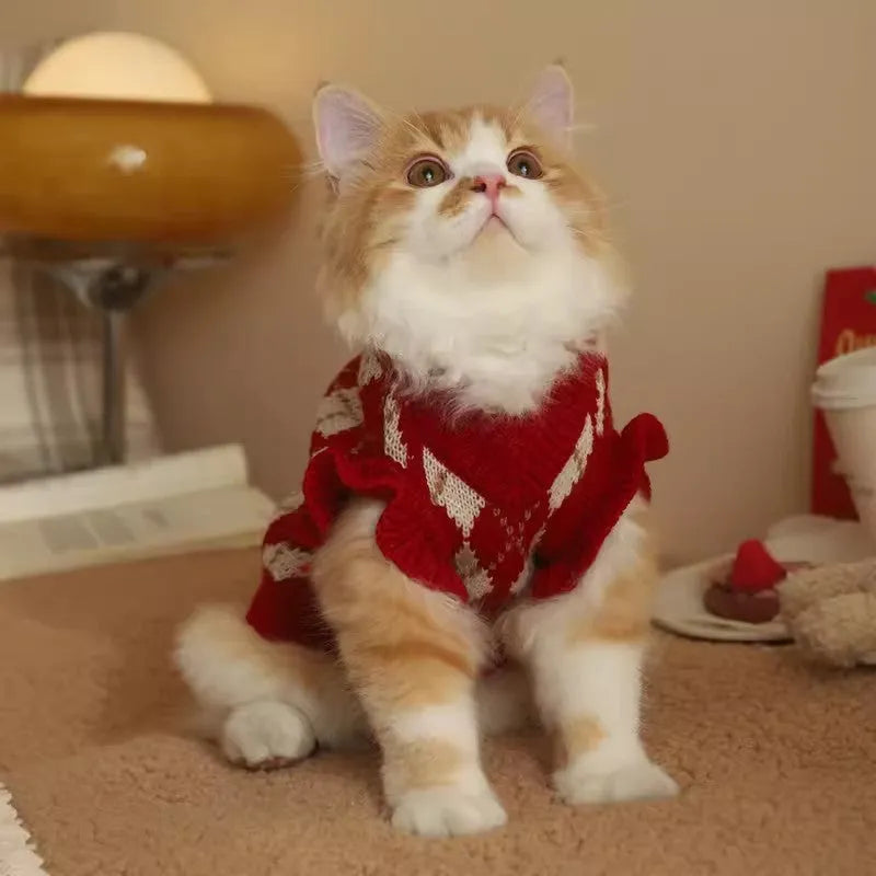 Red cat sweater with rhombic cherry embroidery for autumn and winter wear, shown in casual style