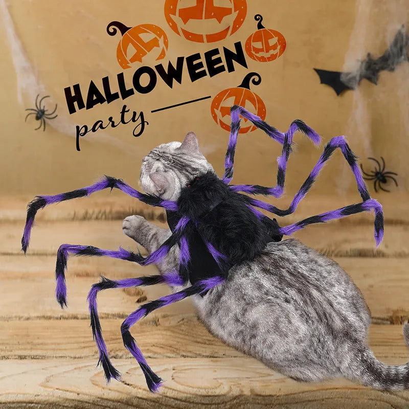 Halloween pet costume with big spider design on dog back, showing grey colour option with eight leg extensions