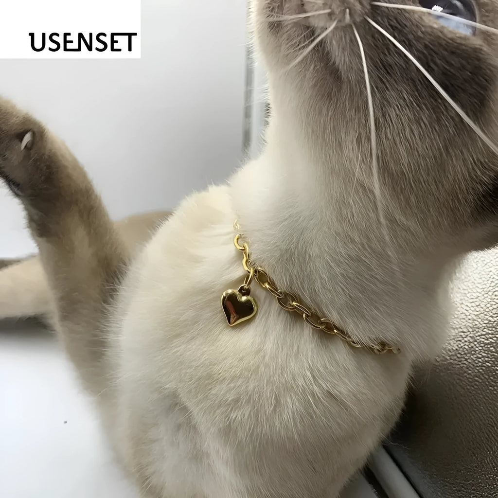 Stainless steel pet necklace with love heart pendant on curb chain in gold finish
