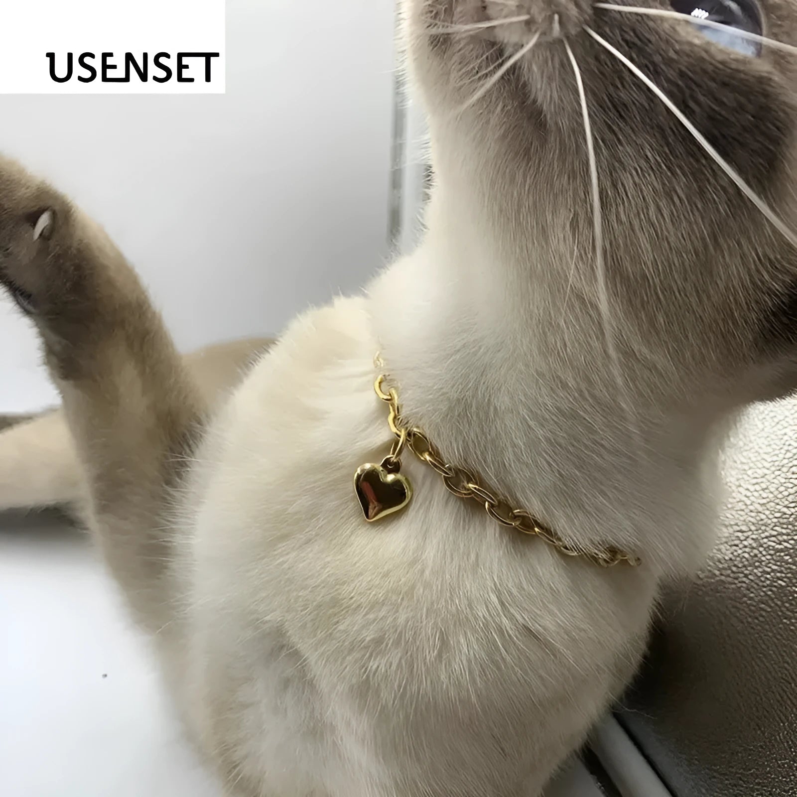 Stainless steel pet necklace with love heart pendant on curb chain in gold finish