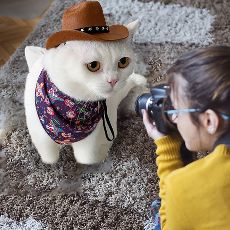 Soft adjustable star cowboy hat for pets on a cat or dog