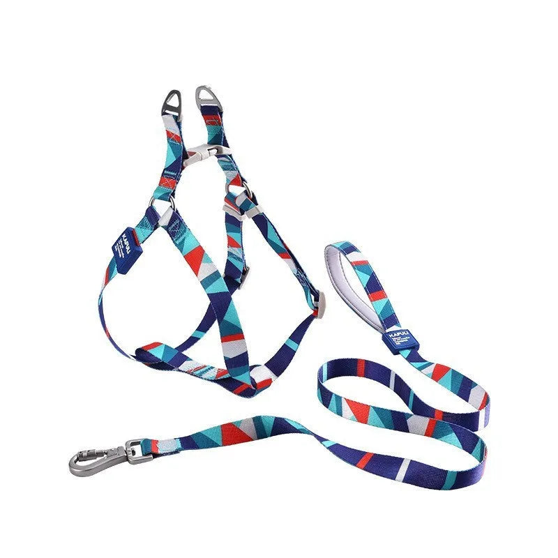 Blue polyester dog harness and retractable leash walking set shown on a dog