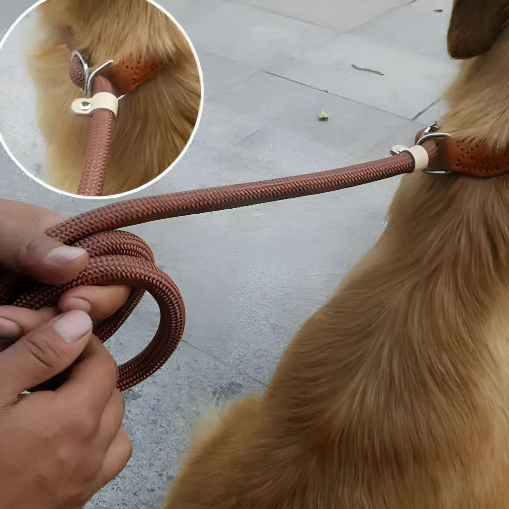 Brown nylon P chain dog leash with hand-holding rope, showing 2.1m length and adjustable chain mechanism