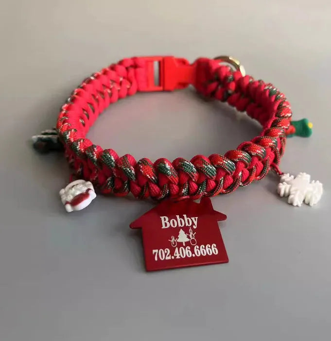 Green P chain dog leash with braided nylon handle and POM release buckle for medium dogs
