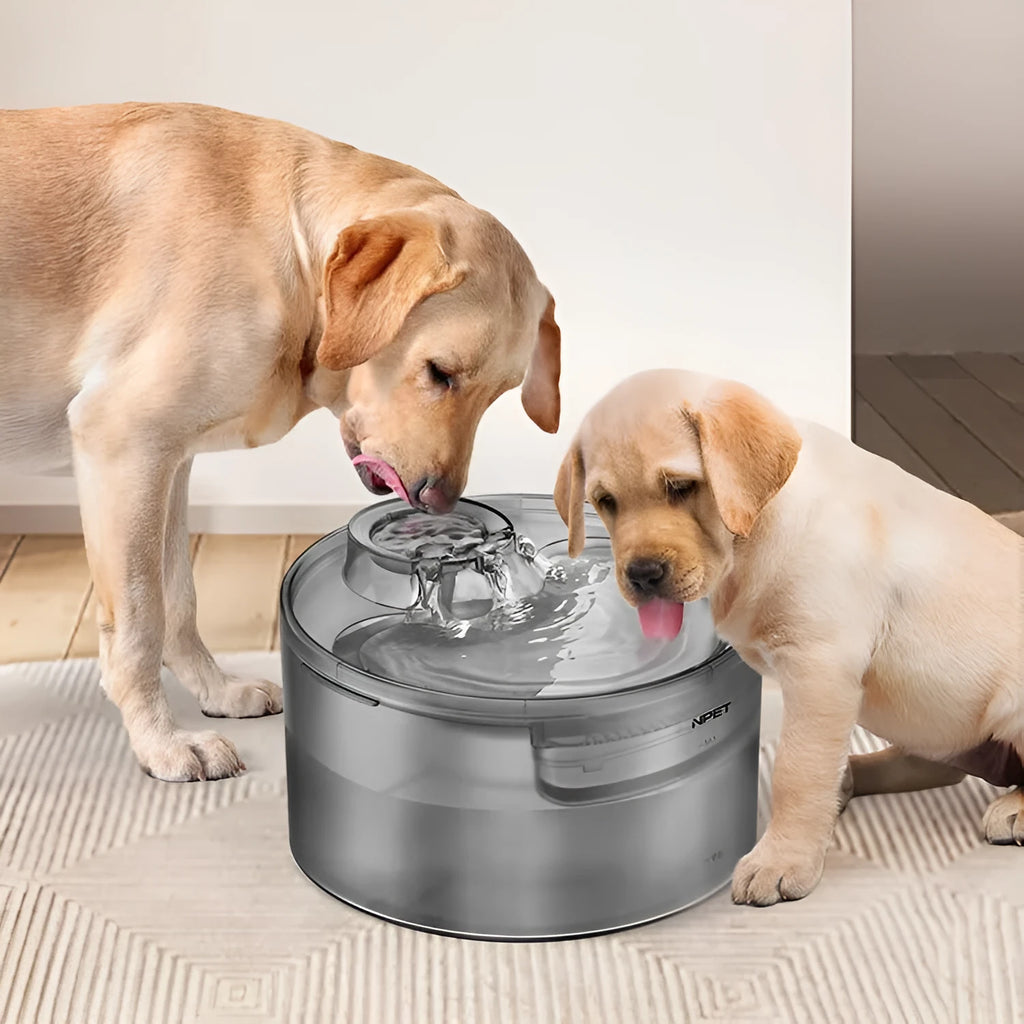 Automatic circulating water dispenser for cats and dogs with filter cartridge on a kitchen floor.