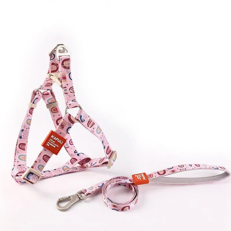 Blue polyester dog harness and retractable leash walking set shown on a dog