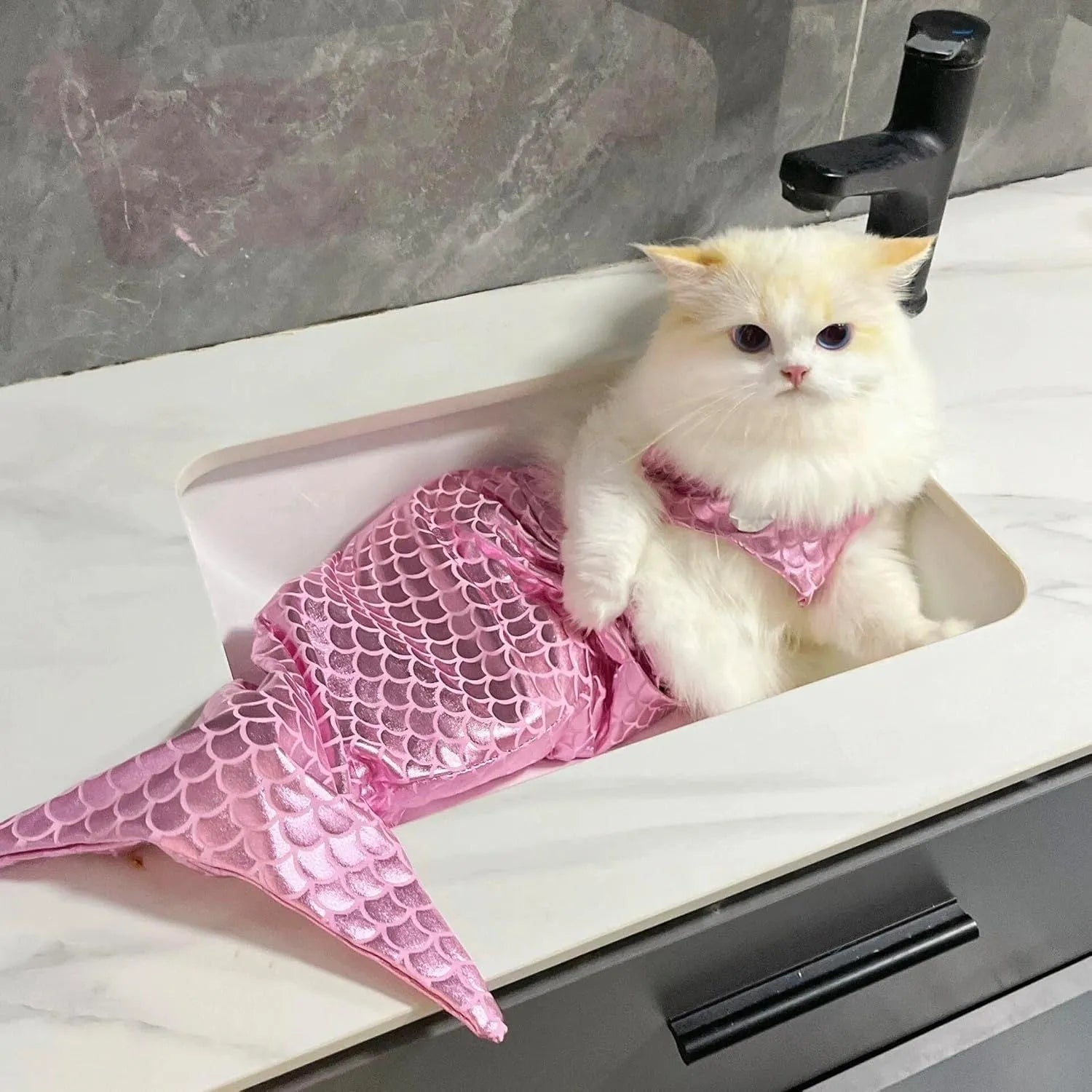 Blue pet mermaid costume with fishtail and elastic chest strap on a small cat