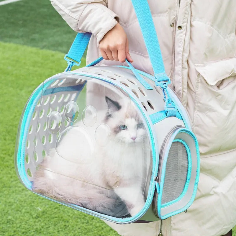 Transparent hard EVA cat backpack in grass green, showing 42x28x35cm dimensions and foldable design for storage