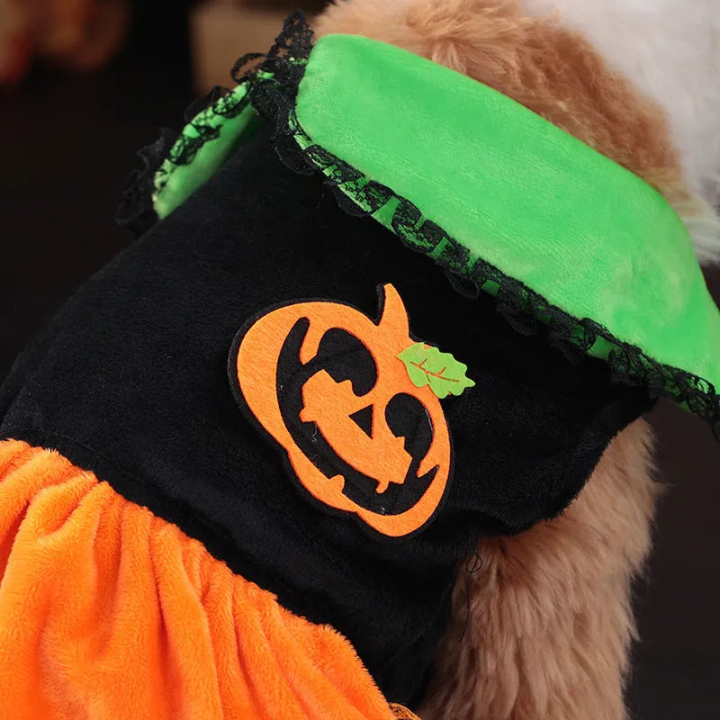 Halloween pumpkin skirt and sweater pet costumes for dogs and cats in crystal velvet material