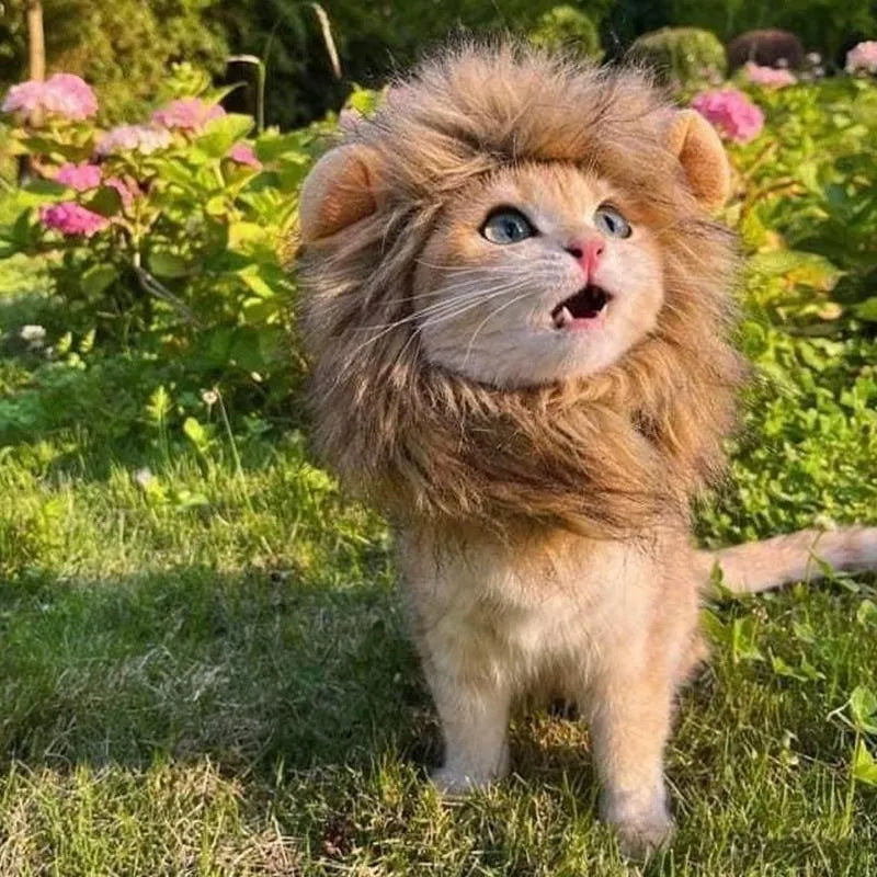 Lion mane wig for cats with artificial hair and adjustable elastic band in three sizes