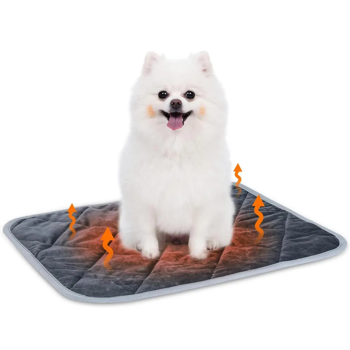 Grey cloth pet cushion showing size options from 40x50cm to 72x115cm on a floor