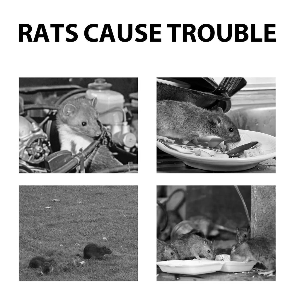 60ml bottle of natural rat repellent spray with essential oils for outdoor, home and car use.