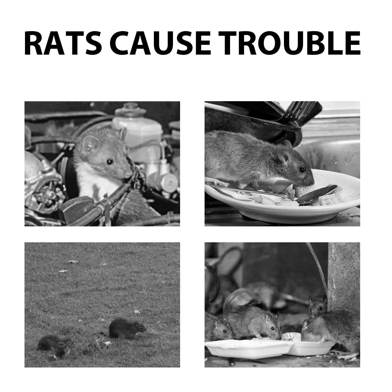 60ml bottle of natural rat repellent spray with essential oils for outdoor, home and car use.