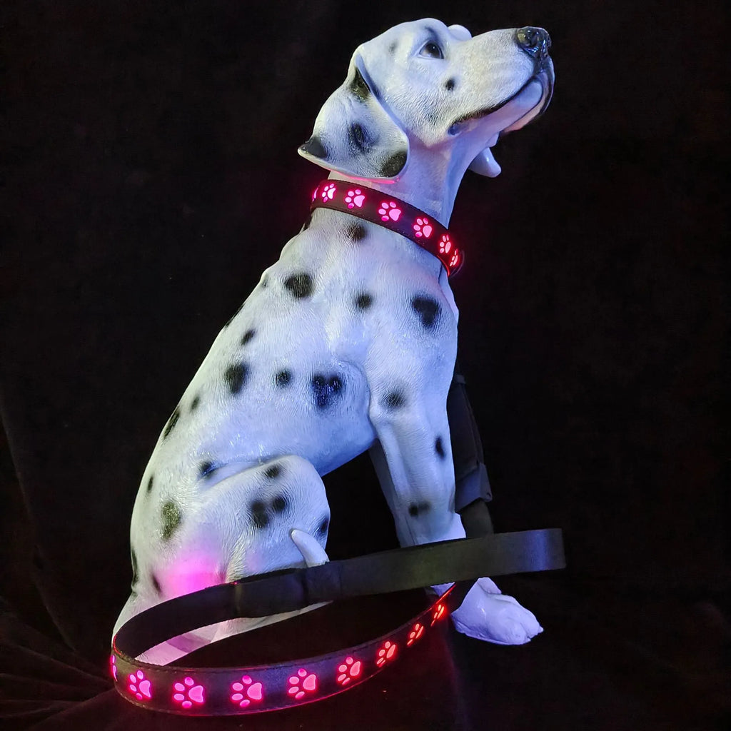 USB-charged LED luminous pet collar showing seven colour modes on adjustable polyester strap with quick-release buckle