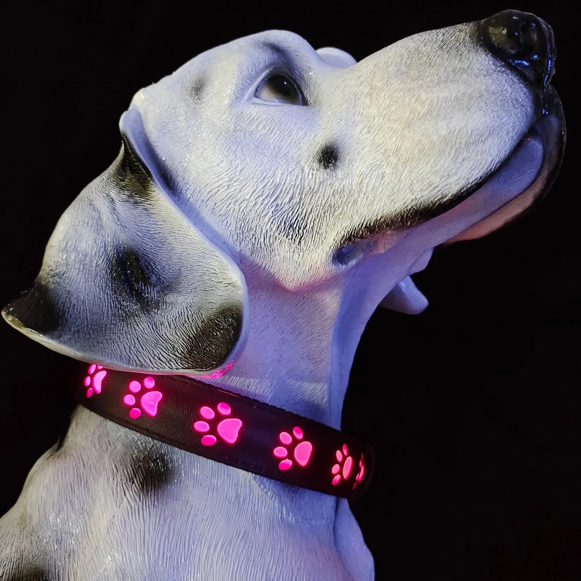 USB-charged LED luminous pet collar showing seven colour modes on adjustable polyester strap with quick-release buckle