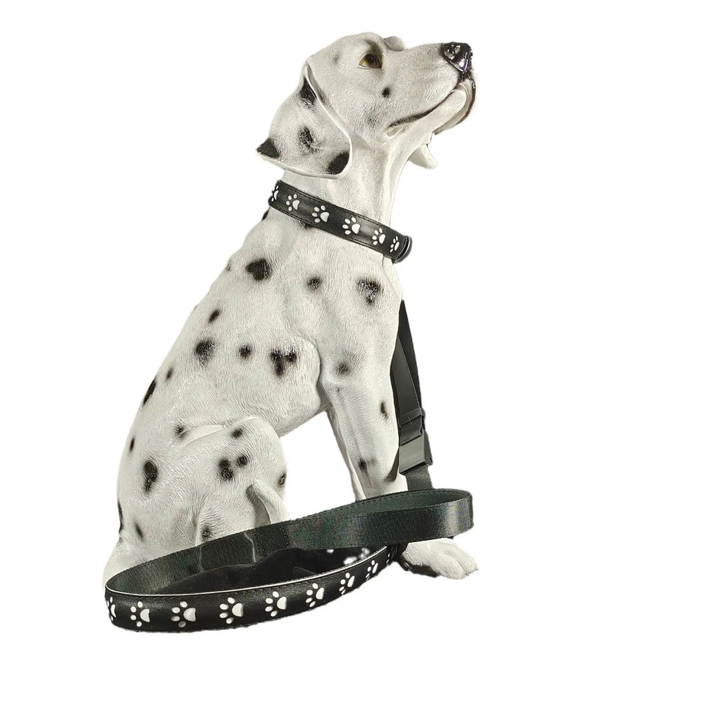 USB-charged LED luminous pet collar showing seven colour modes on adjustable polyester strap with quick-release buckle
