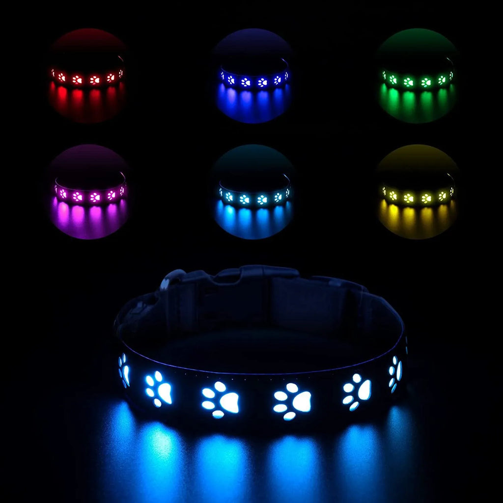 USB-charged LED luminous pet collar showing seven colour modes on adjustable polyester strap with quick-release buckle