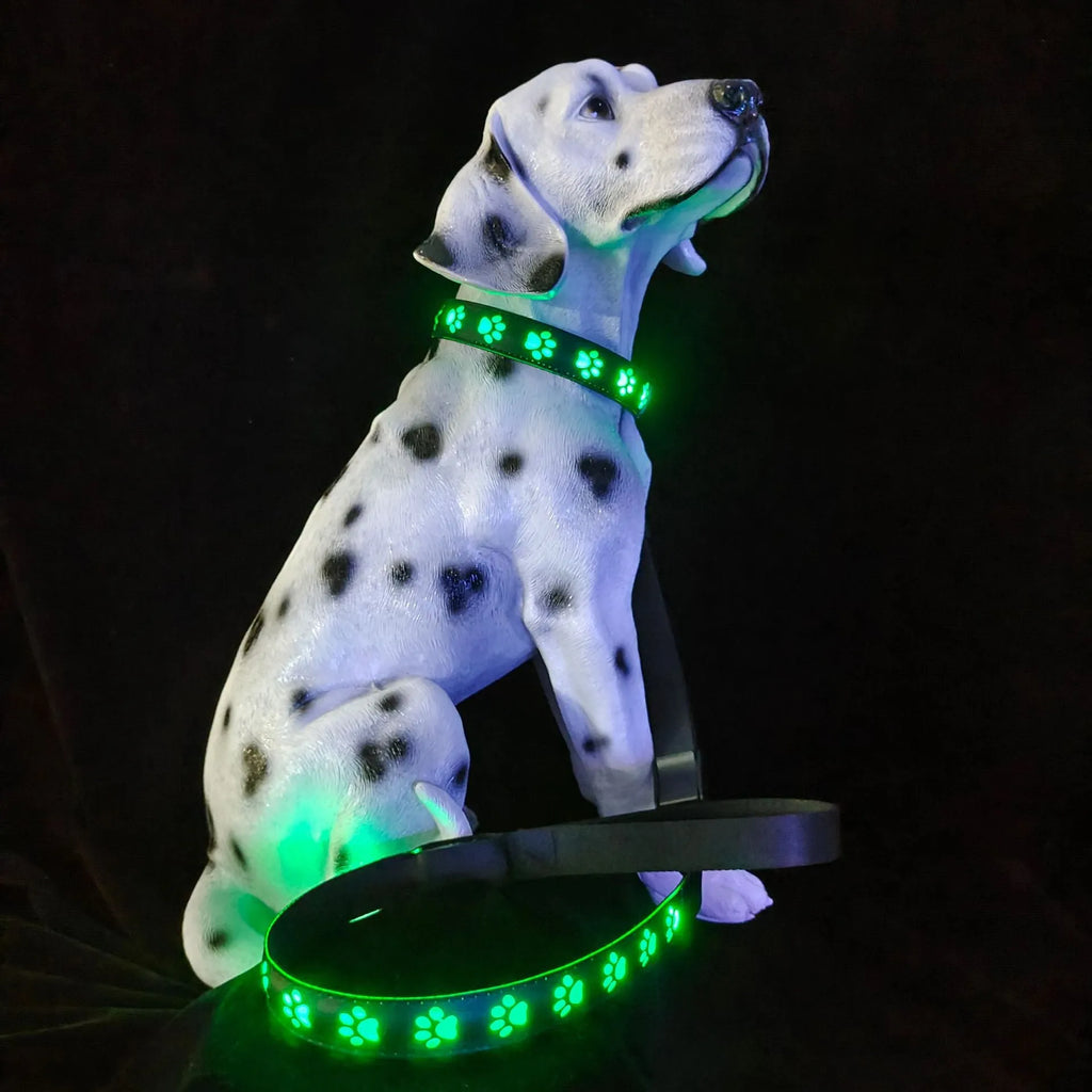 USB-charged LED luminous pet collar showing seven colour modes on adjustable polyester strap with quick-release buckle