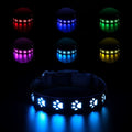 USB-charged LED luminous pet collar showing seven colour modes on adjustable polyester strap with quick-release buckle