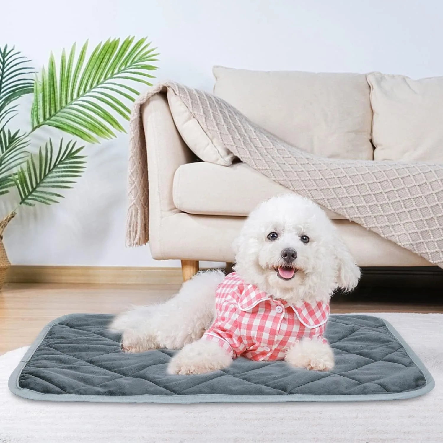 Grey cloth pet cushion showing size options from 40x50cm to 72x115cm on a floor