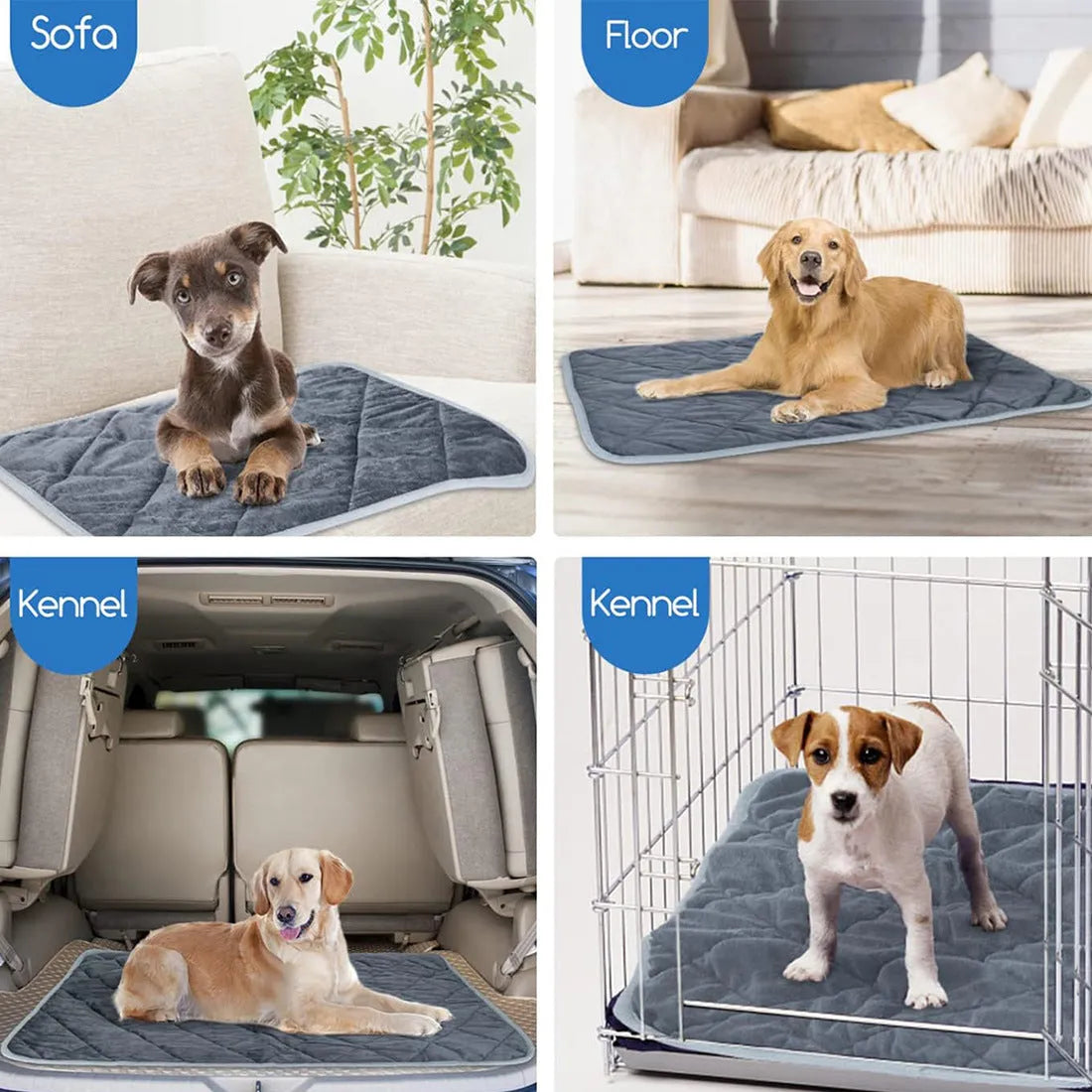 Grey cloth pet cushion showing size options from 40x50cm to 72x115cm on a floor
