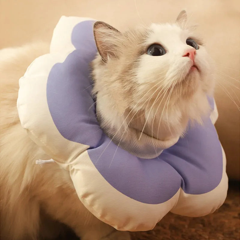 Soft cotton cat recovery collar with solar flower decoration in blue, shown on a cat's neck.