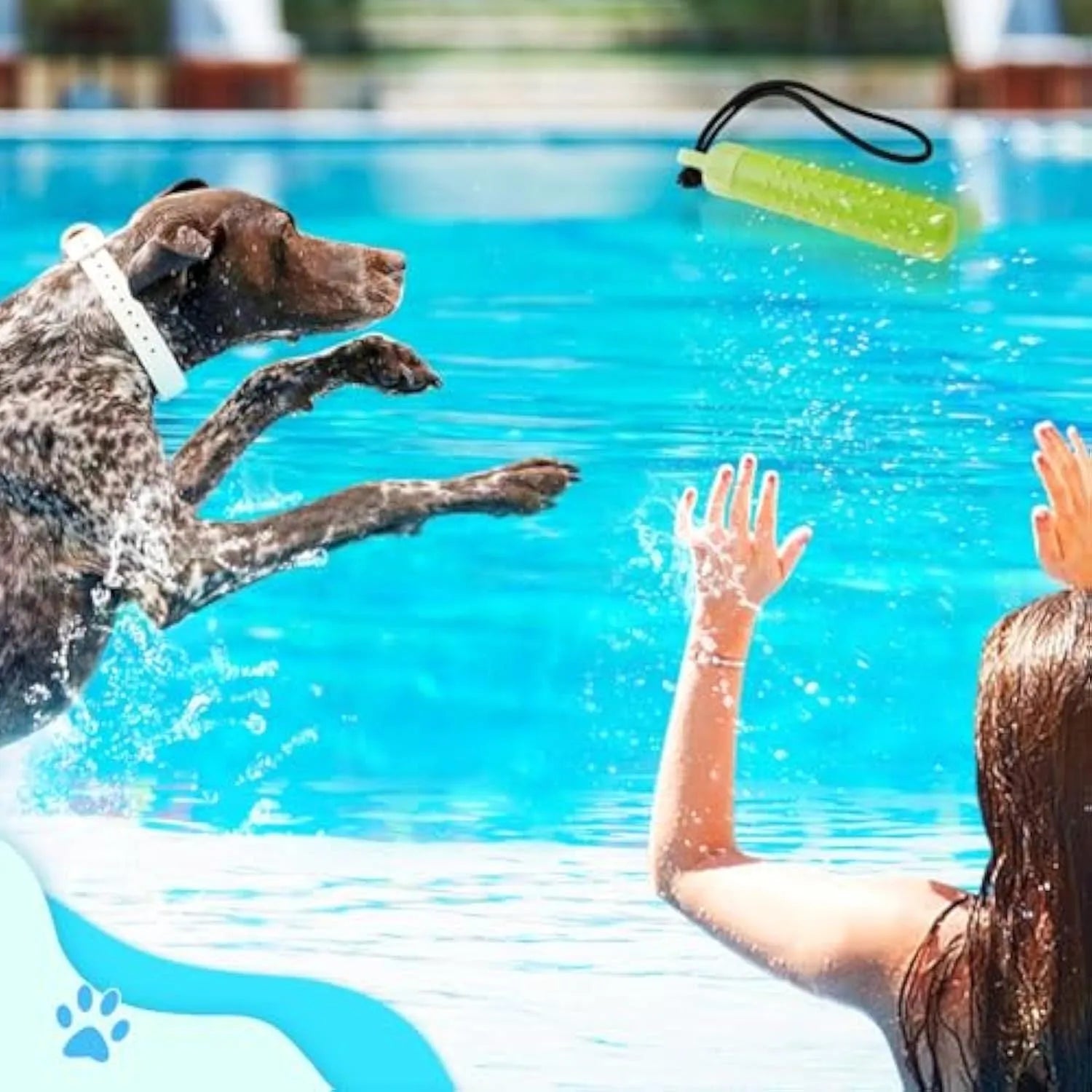 Two red and green TPR floating dog toys with rope handles for water fetching