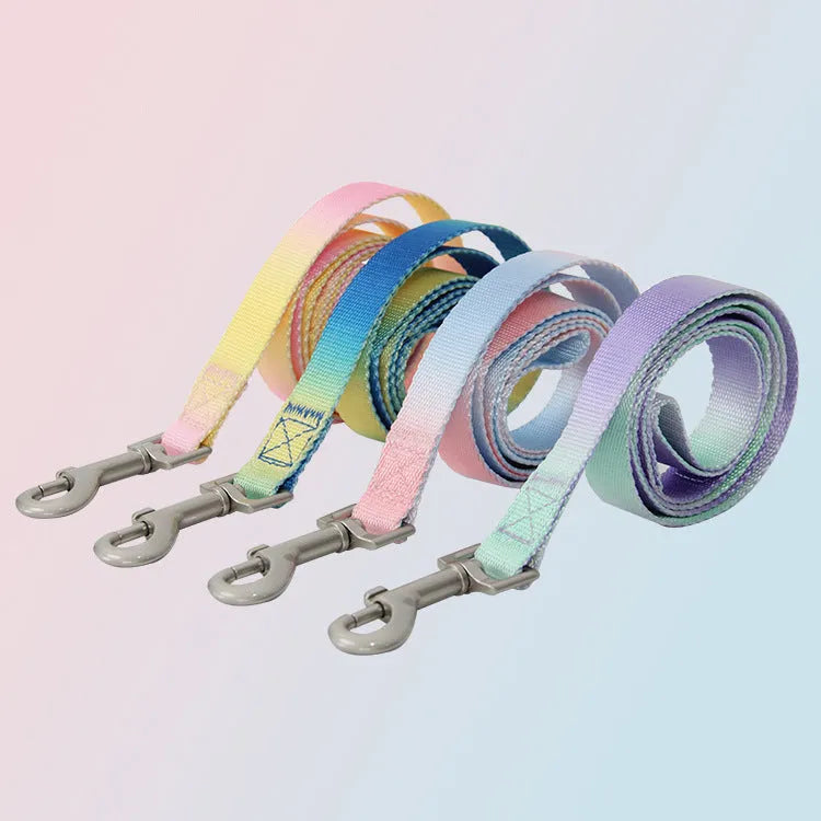 Nylon dog leash set with gradient colours in pink and blue, showing collar, chest strap, and lead for secure walks