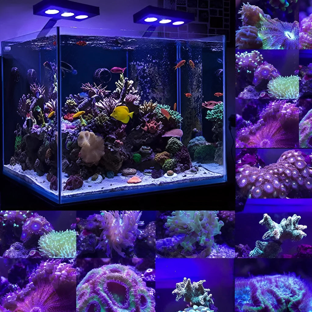 Water Knight M5 full spectrum coral LED light for marine aquarium, 30W or 40W WiFi edition with imported CREE LED beads