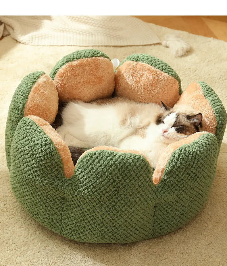Cactus petal PP cotton pet nest in green, purple, grey or coffee, 40cm high, S/M/L sizes