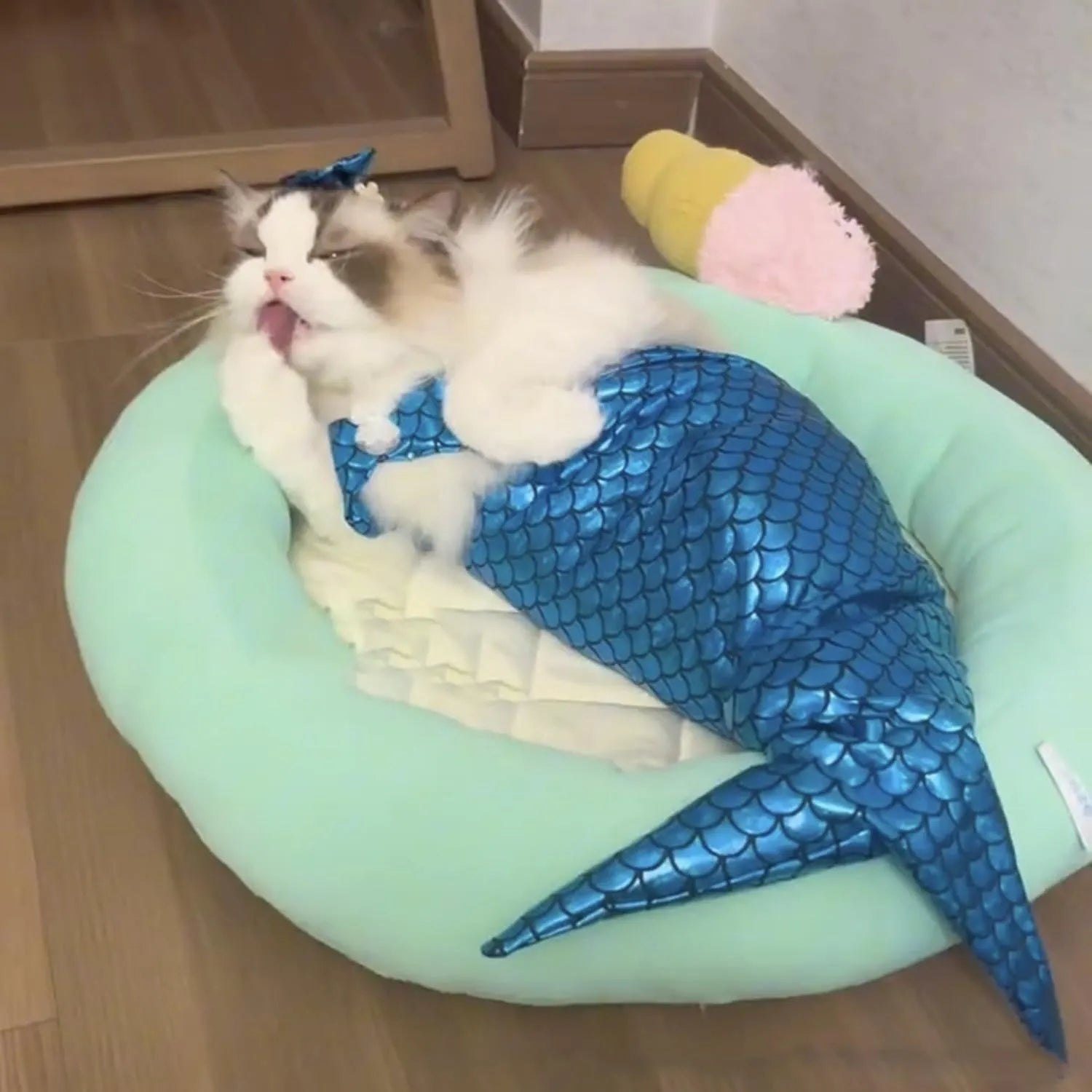 Blue pet mermaid costume with fishtail and elastic chest strap on a small cat