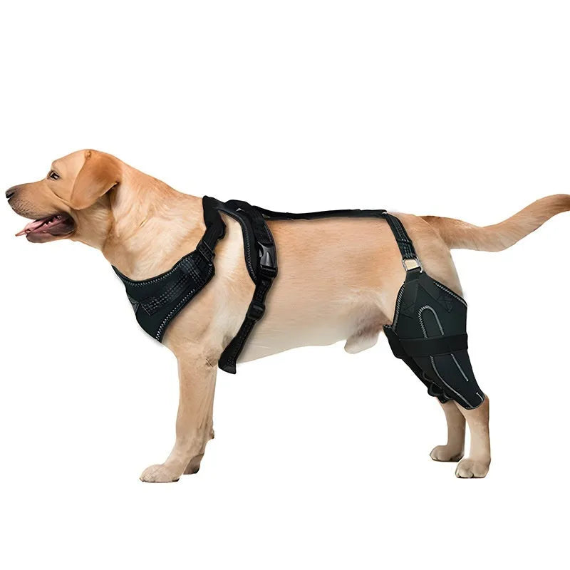 Black dog thigh protective sleeve with adjustable metal support for postoperative leg warming
