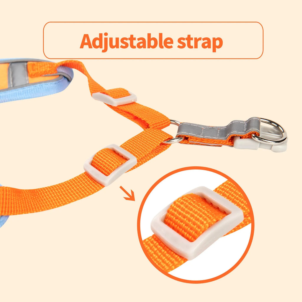 Adjustable dog harness with chest strap in purple colour, showing metal D-ring and adjustable buckles