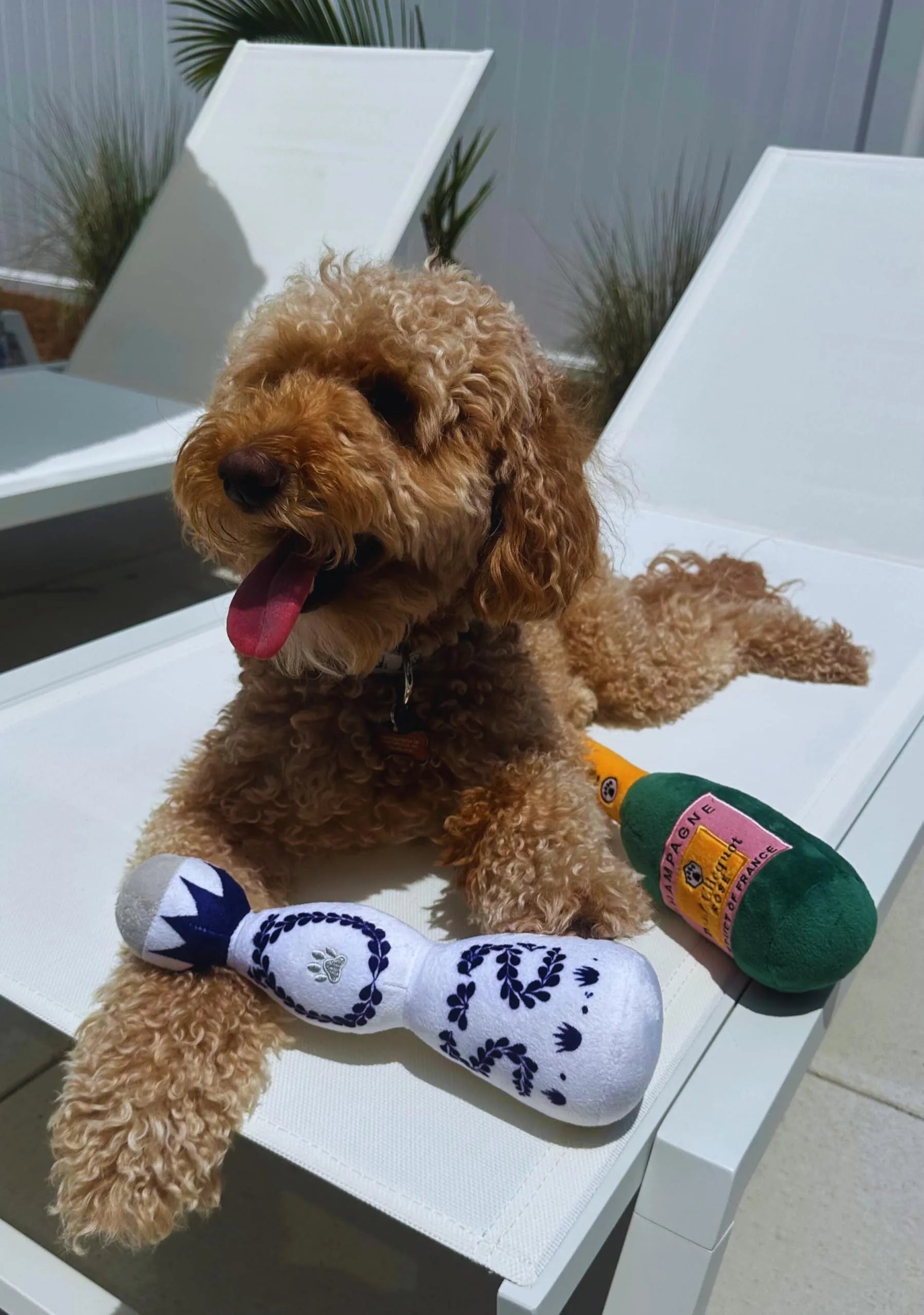 Red and white tequila bottle plush dog toy with squeaker for playful chewing and fetch games